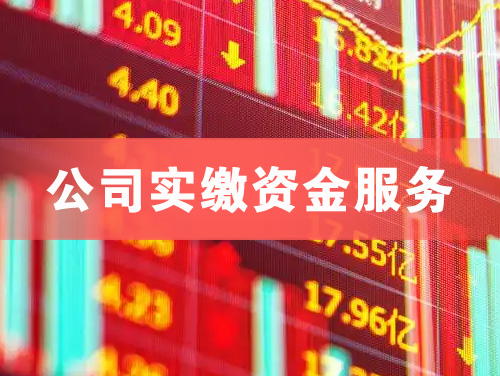 同江公司实缴资金服务