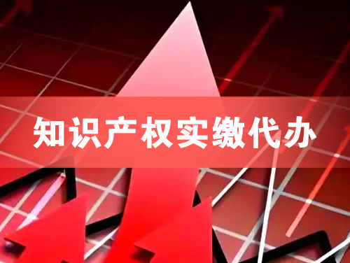 同江知识产权实缴资本代办
